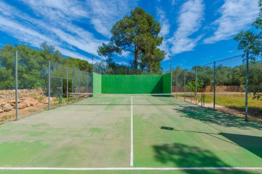 An outdoor sports court with green playing surfaces, netting, and trees beyond.