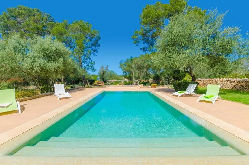 An outdoor swimming pool is surrounded by lounge chairs and trees.