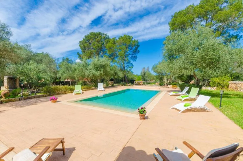 An outdoor swimming pool sits on a paved patio surrounded by trees.
