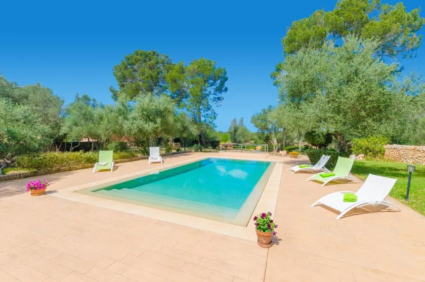 An outdoor swimming pool sits on a paved patio surrounded by trees and lounge chairs.
