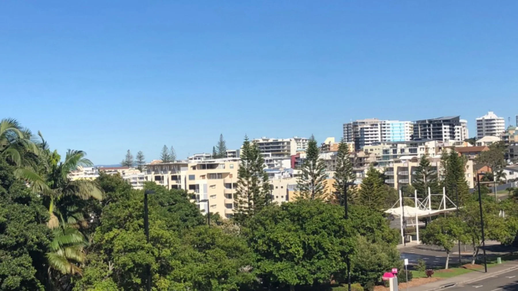 Un paisaje urbano se alza detrás de árboles frondosos bajo un cielo azul despejado.