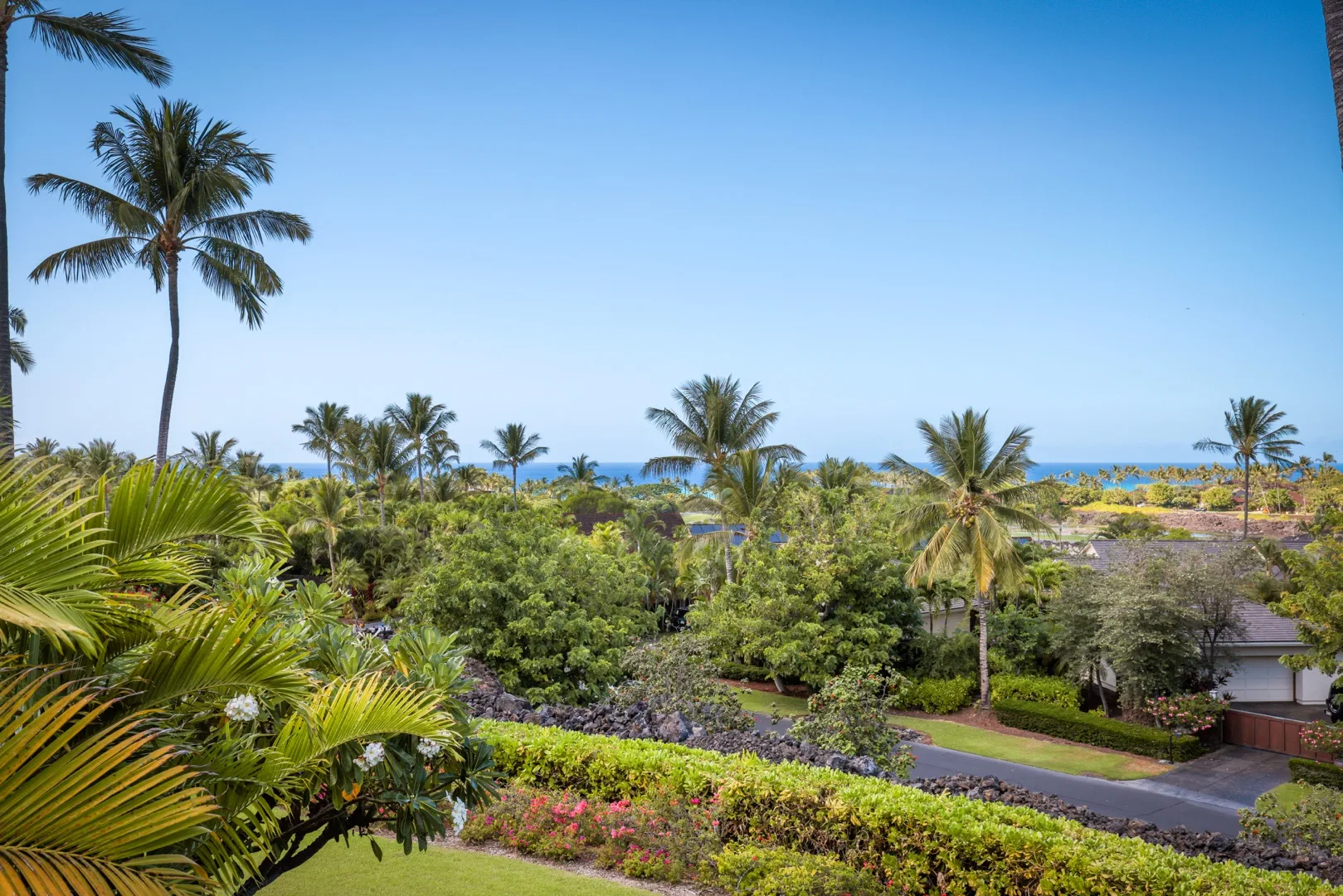 Un jardín tropical con palmeras, setos floridos y el océano a lo lejos.