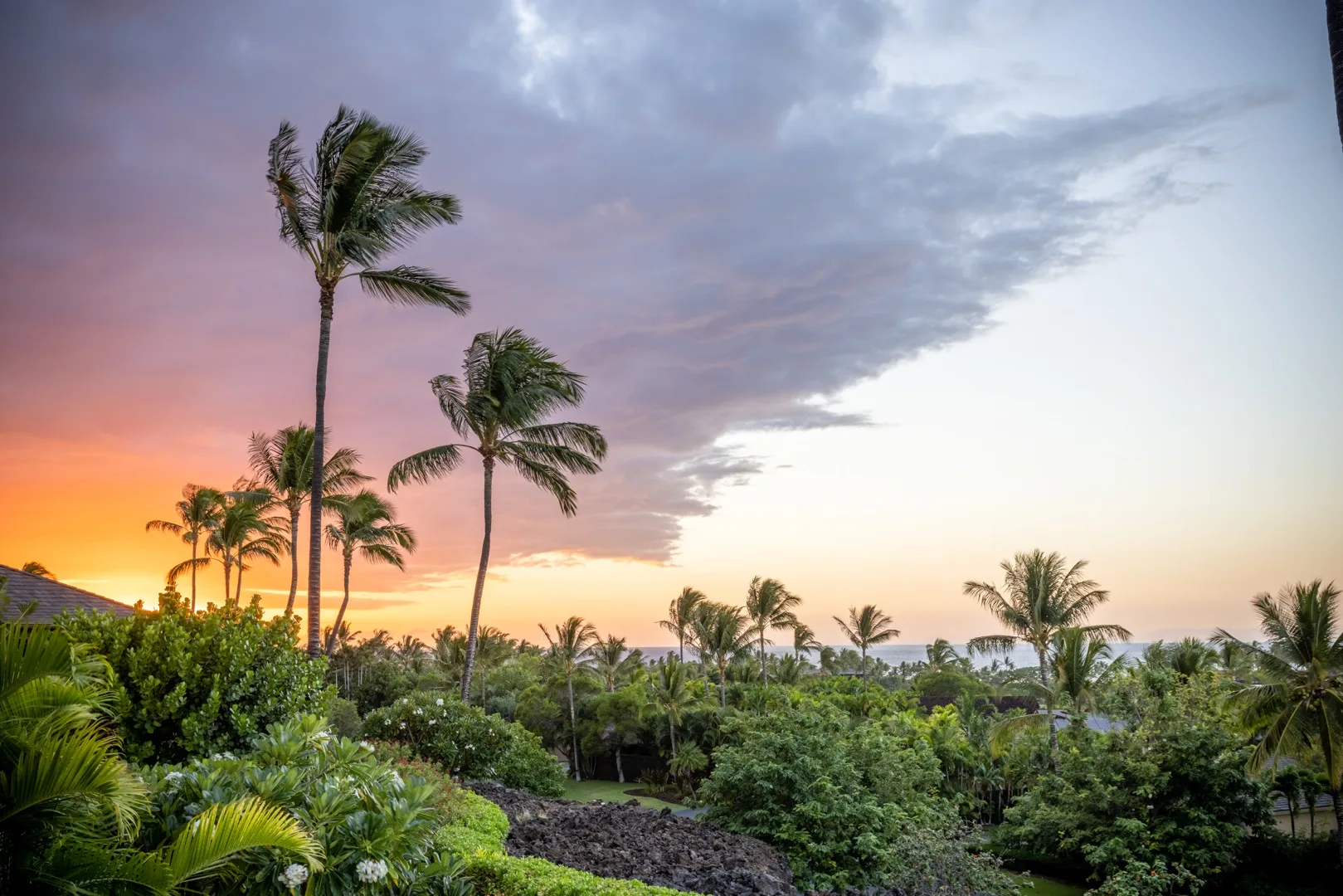 Jardines tropicales con palmeras altas bajo un cielo nublado al atardecer.