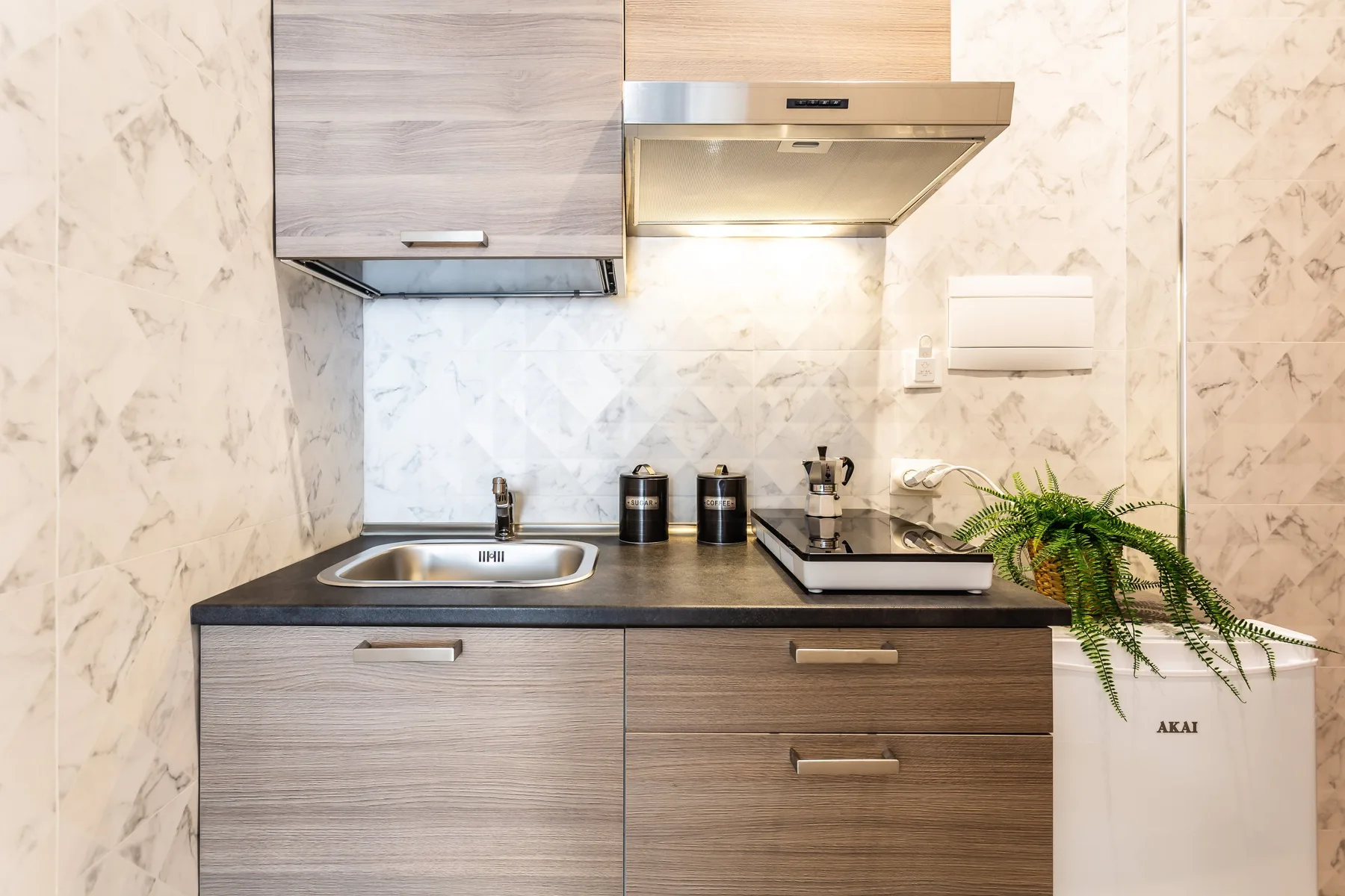 A compact kitchen with a sink, cooktop, and potted greenery.