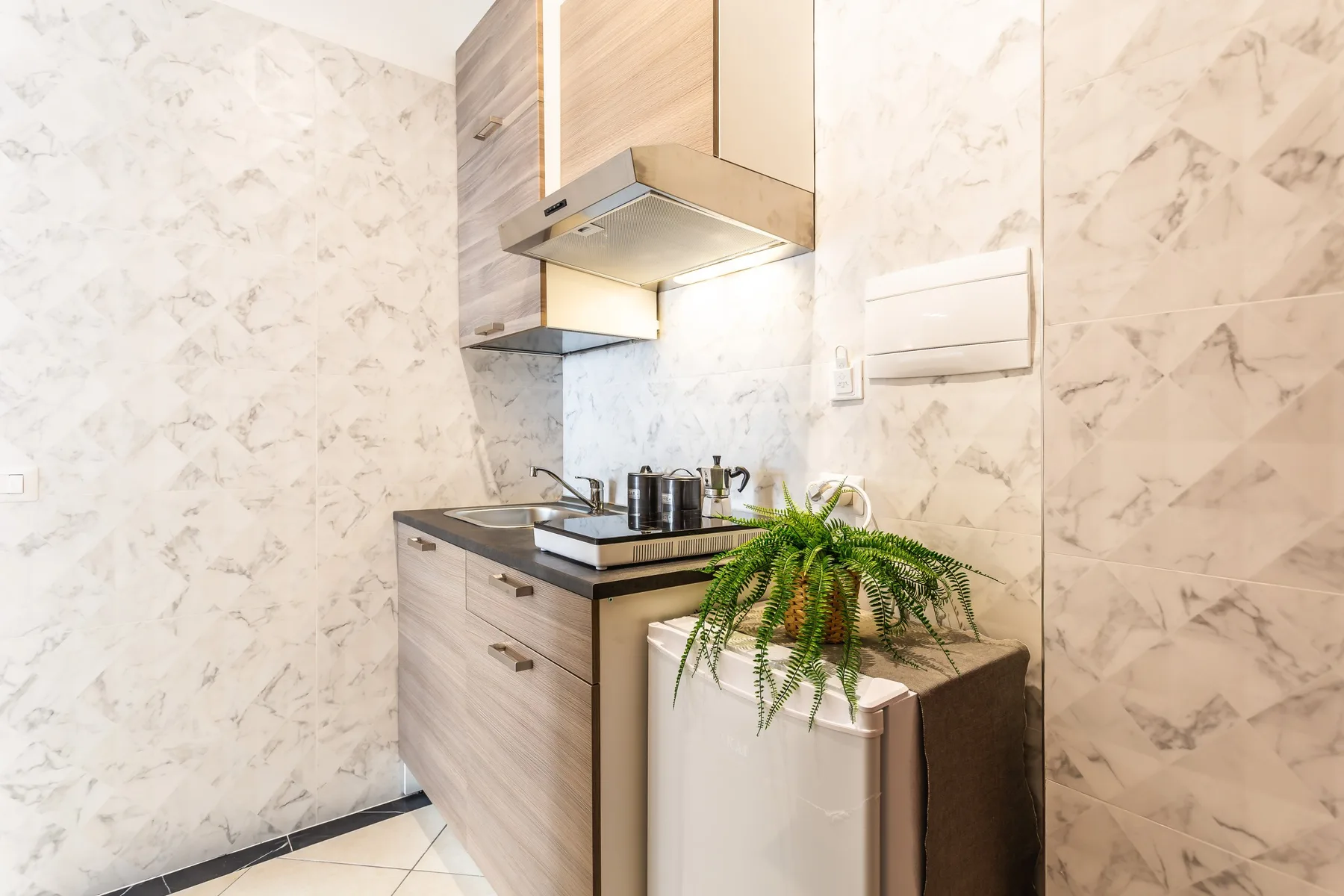 A compact kitchen with light cabinetry, a cooktop, and a potted plant.