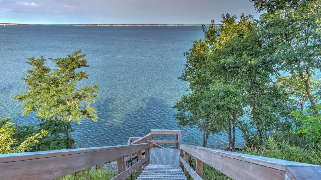 A wooden walkway leads through trees to a broad view of the water.
