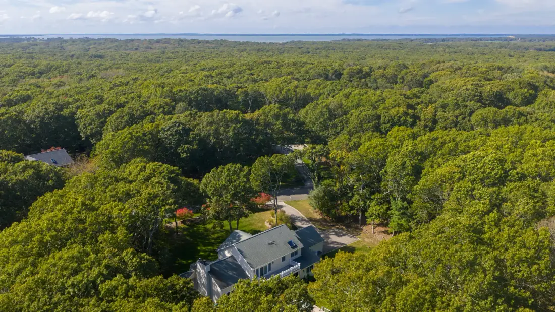 Vista aérea de una casa rodeada de un denso bosque verde.
