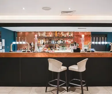 Recepción y bar
