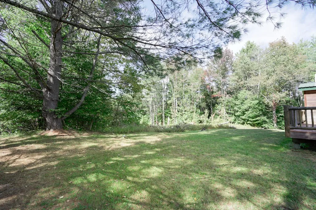 A grassy yard bordered by trees, with a wooden deck at the edge.