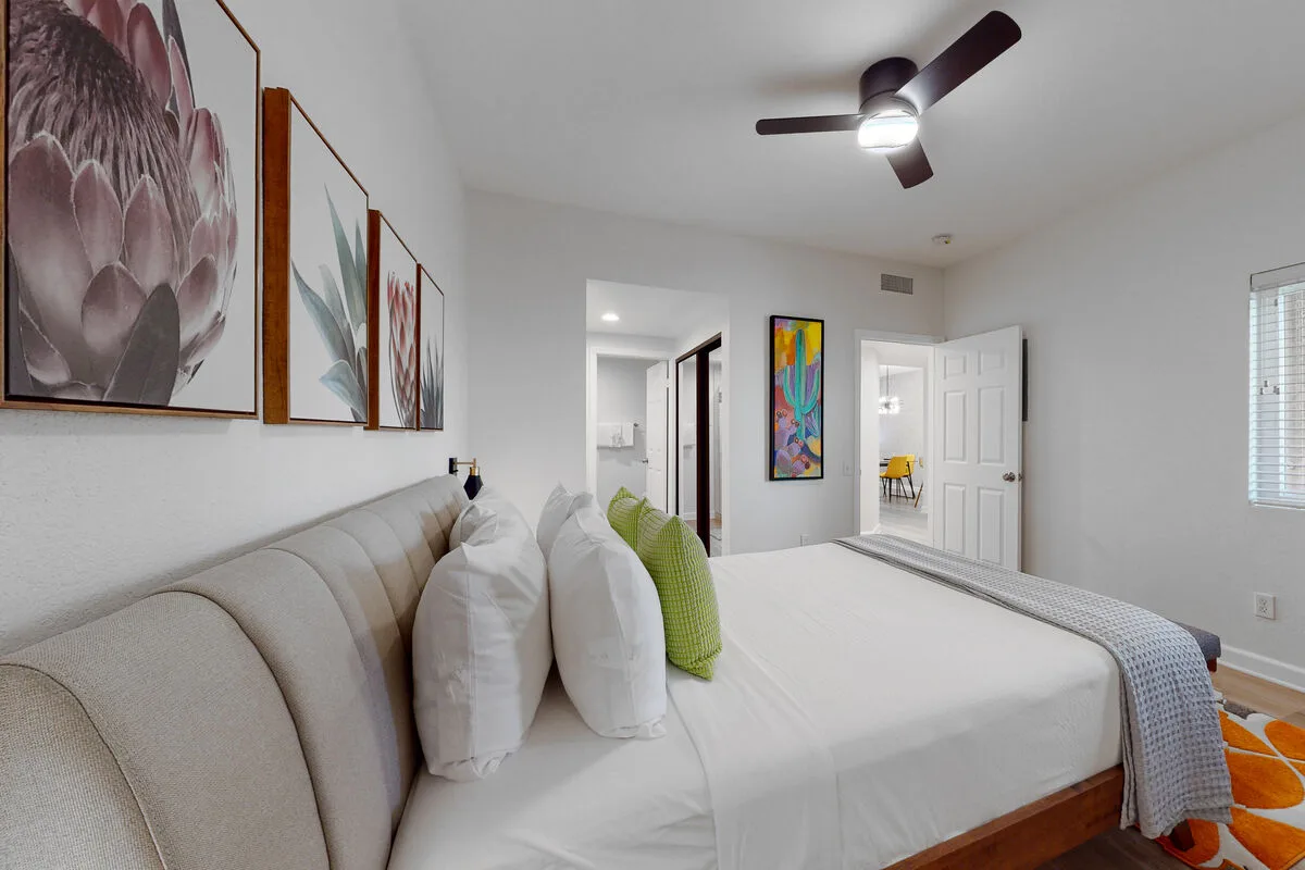 Oasis Harmony - 58722