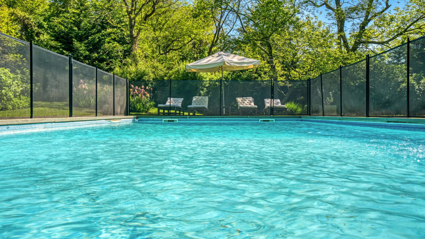 Una piscina está rodeada por una cerca de malla oscura y árboles frondosos.