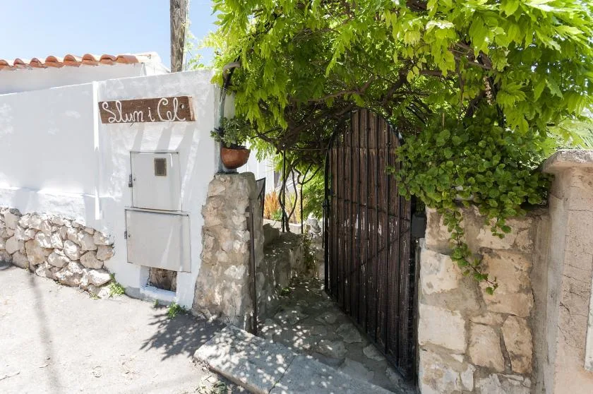 A leafy vine shades a dark metal gate between white and stone walls.
