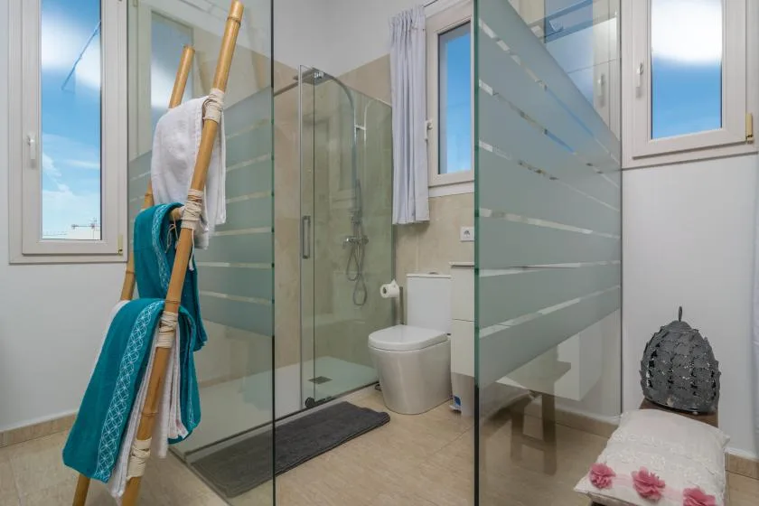 A bathroom with a glass shower, toilet, and windows.
