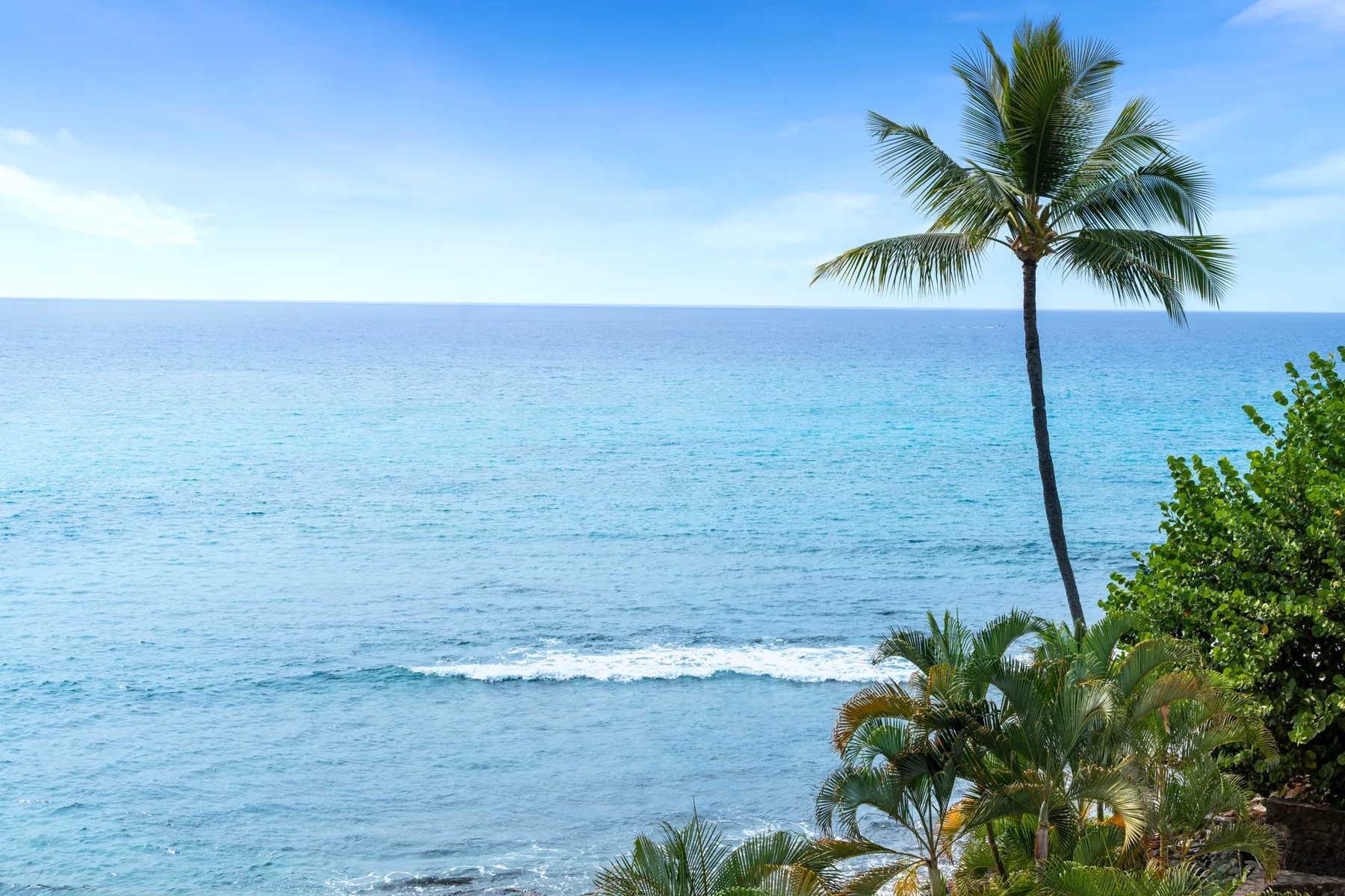 A tropical coastline with turquoise water and a palm tree.