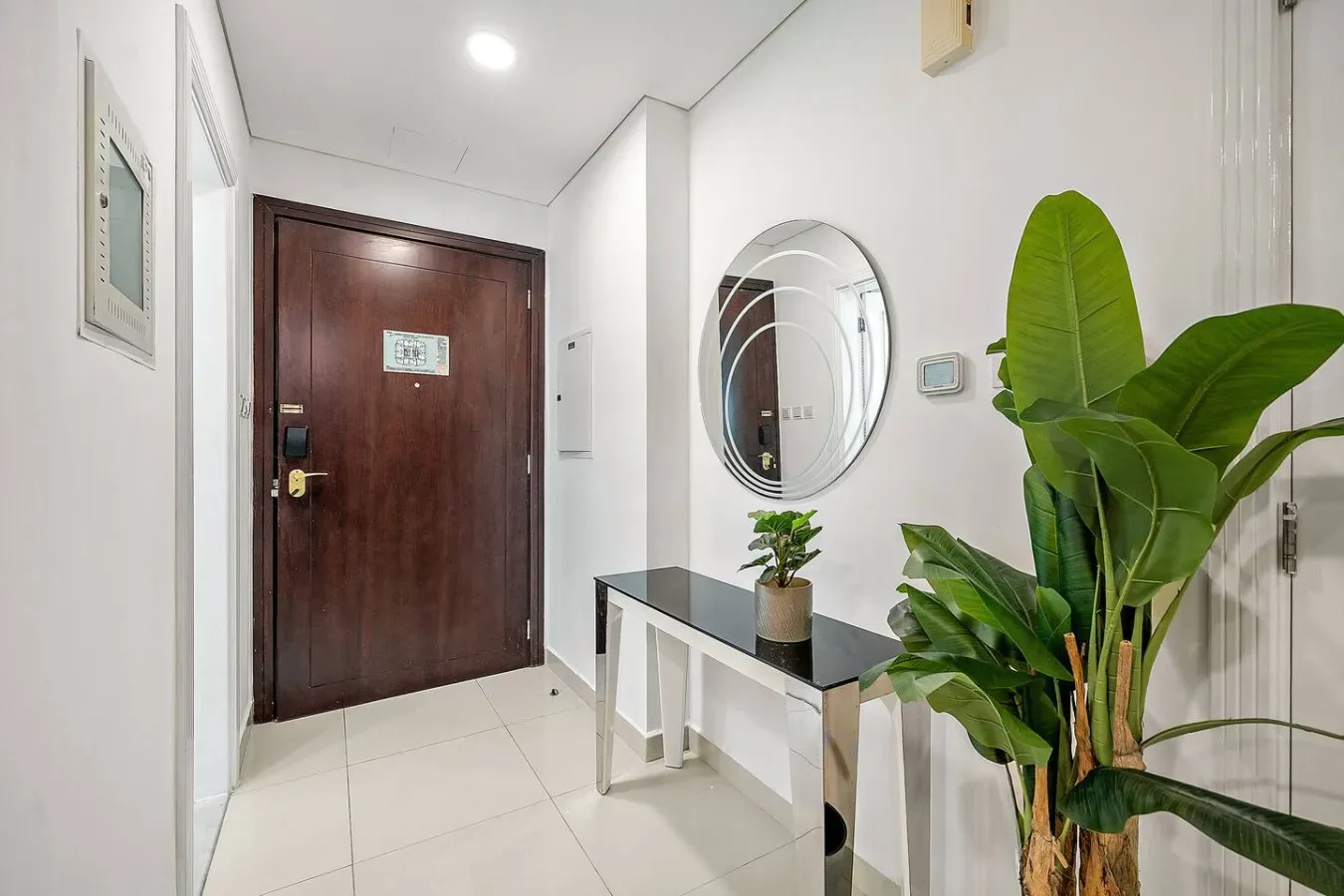 A bright entryway with a dark wooden door, a round mirror, and a leafy plant.