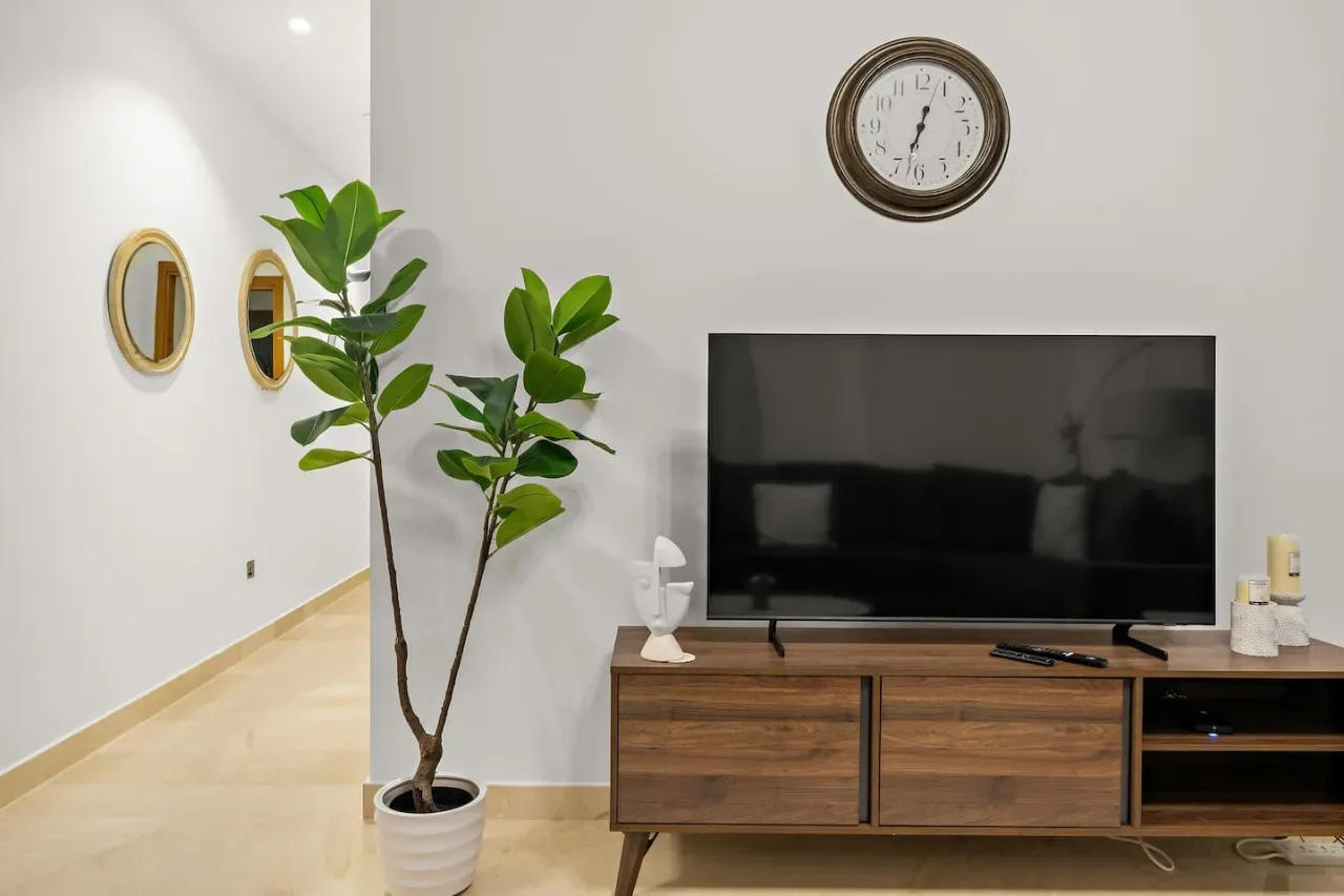 Una sala de estar con un televisor sobre un mueble de madera y una planta en maceta.