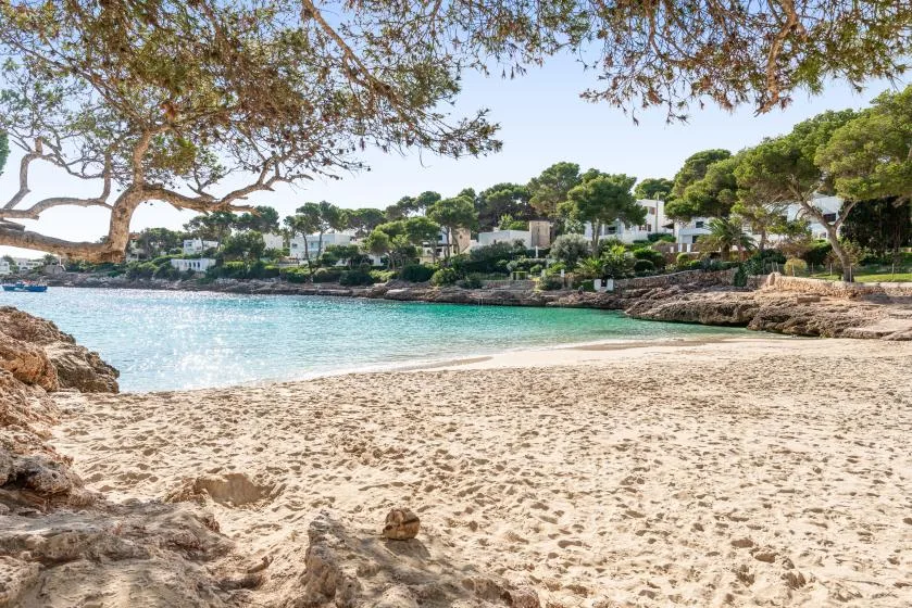 A sandy beach curves beside clear turquoise water, with trees along the shore.