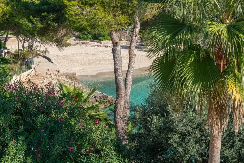 A sandy beach and turquoise water are framed by lush trees and flowering shrubs.