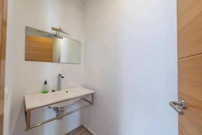 A bathroom vanity with a wall mirror and an open wooden door.