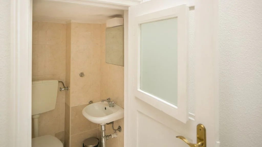 Un baño con lavabo e inodoro junto a una puerta de vidrio esmerilado.
