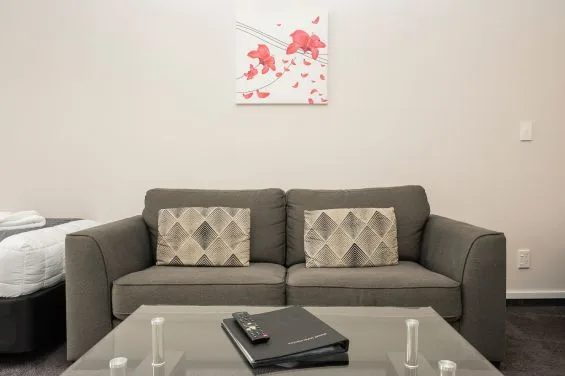 Sofá del estudio deluxe