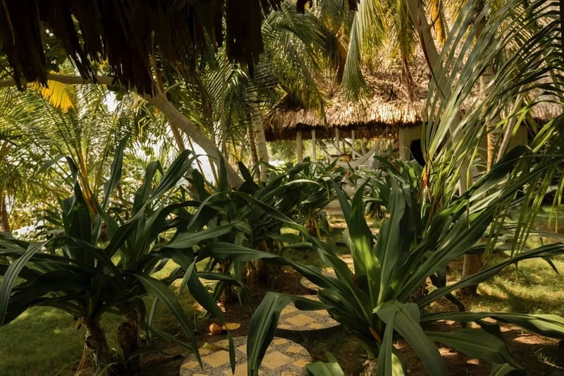 Nature & Beachfront 4BR Villa in Isla Grande