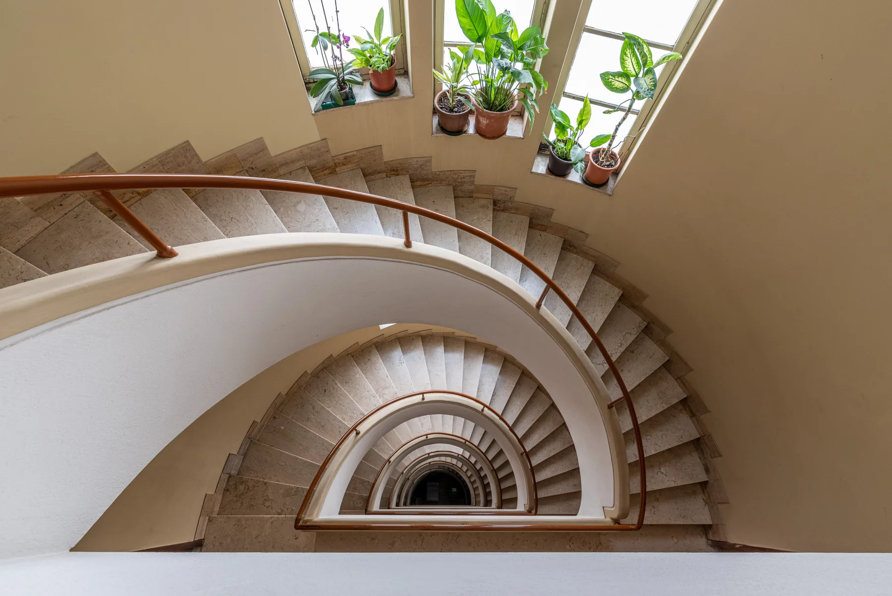 A curved staircase spirals downward beneath tall windows with potted plants.
