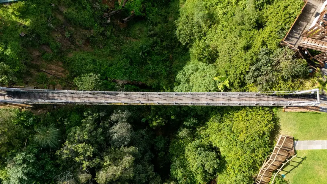 Suspension bridge