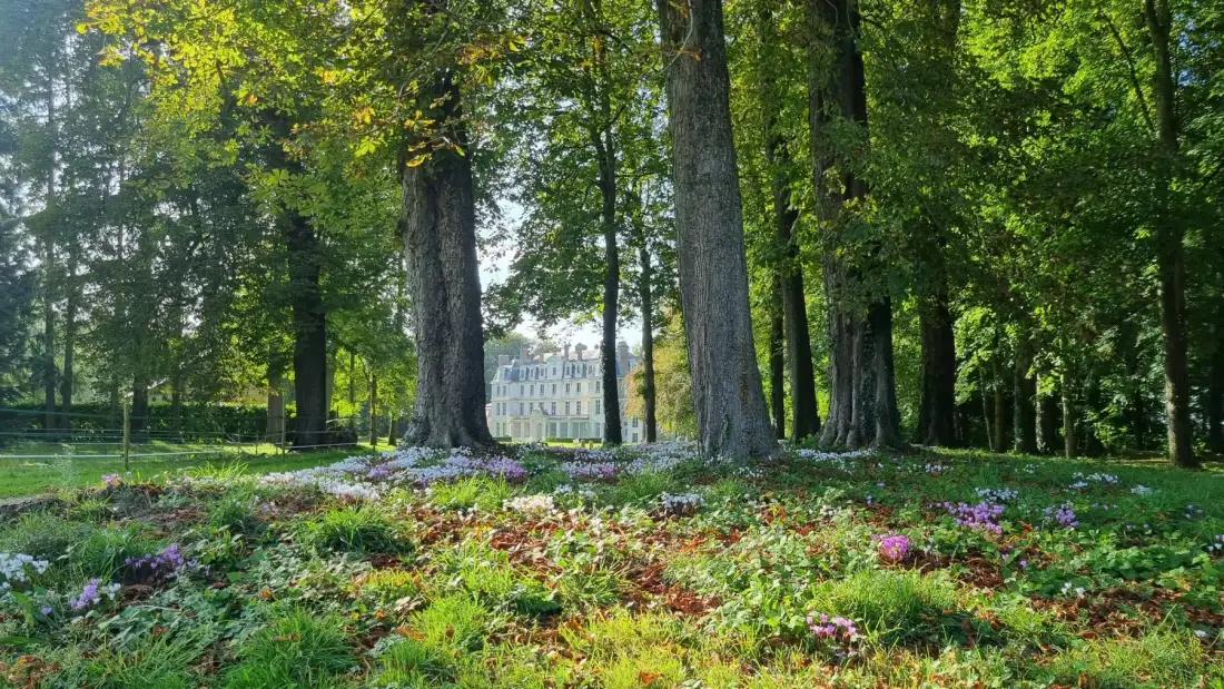 Les Écuries interior
