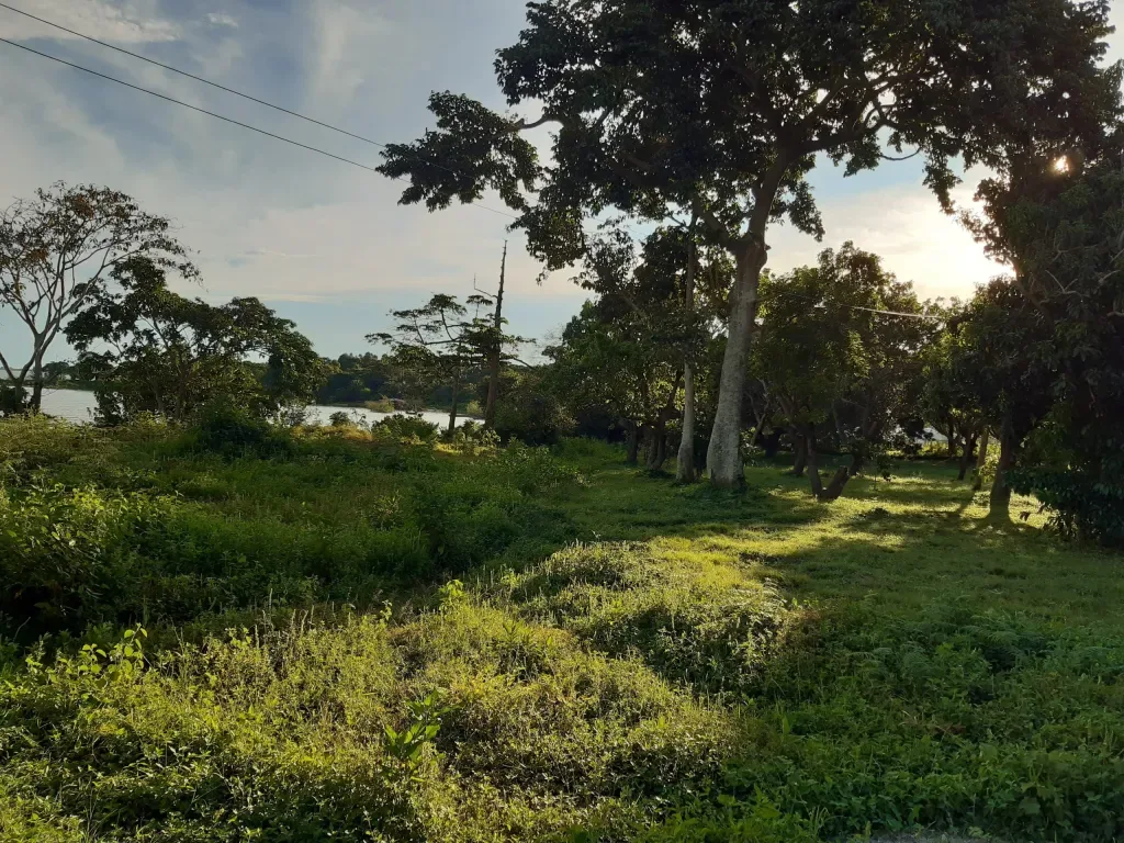 Avocado Bay property