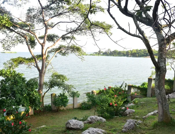 Avocado Bay property