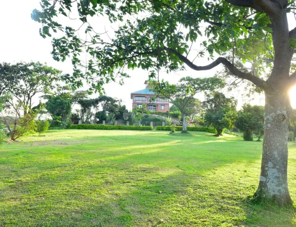 Avocado Bay property