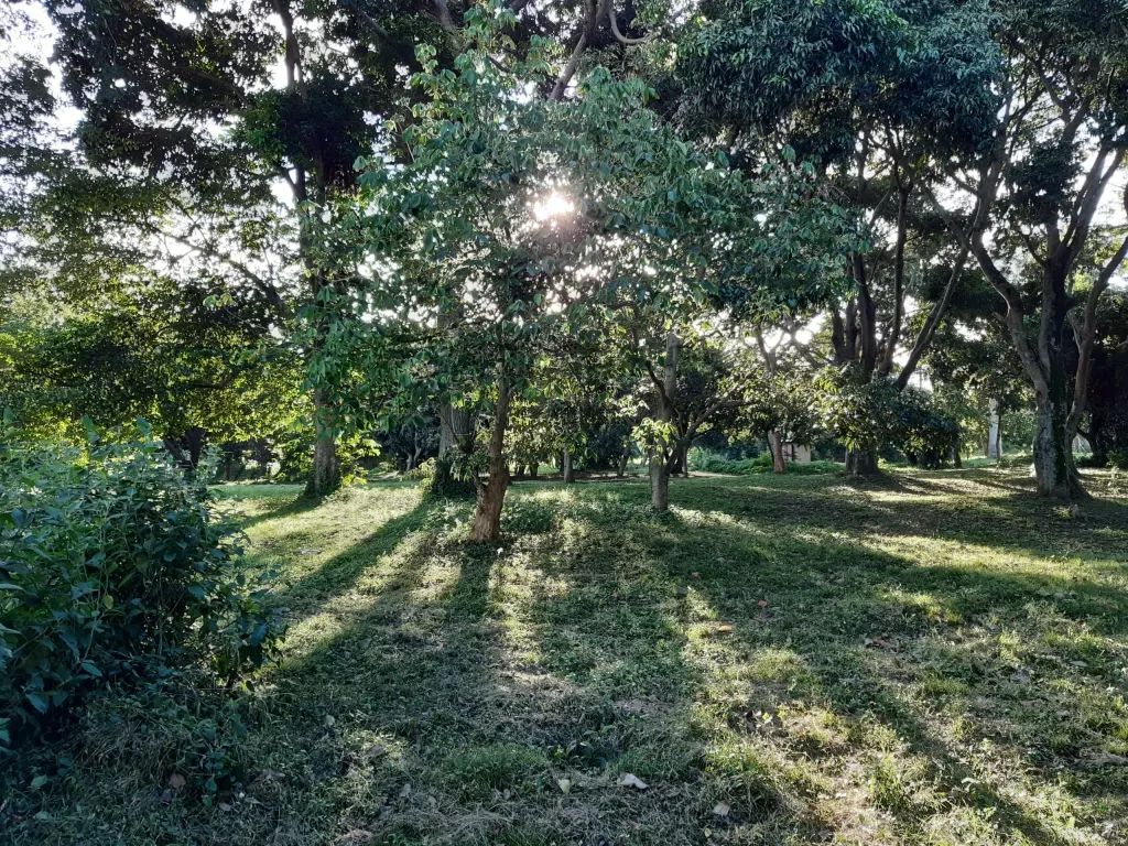 Avocado Bay property