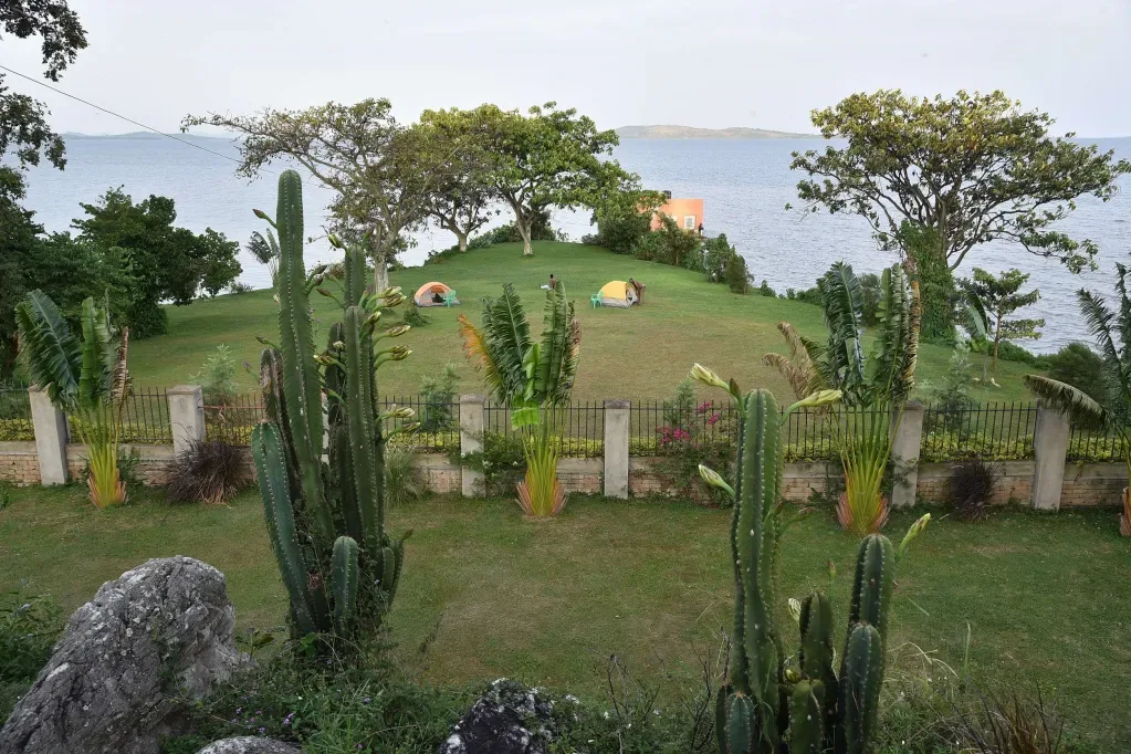Avocado Bay property
