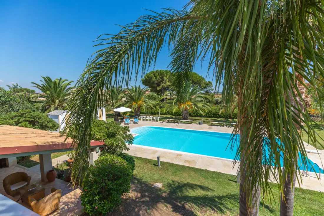 Outdoor swimming pool surrounded by greenery and palm trees.