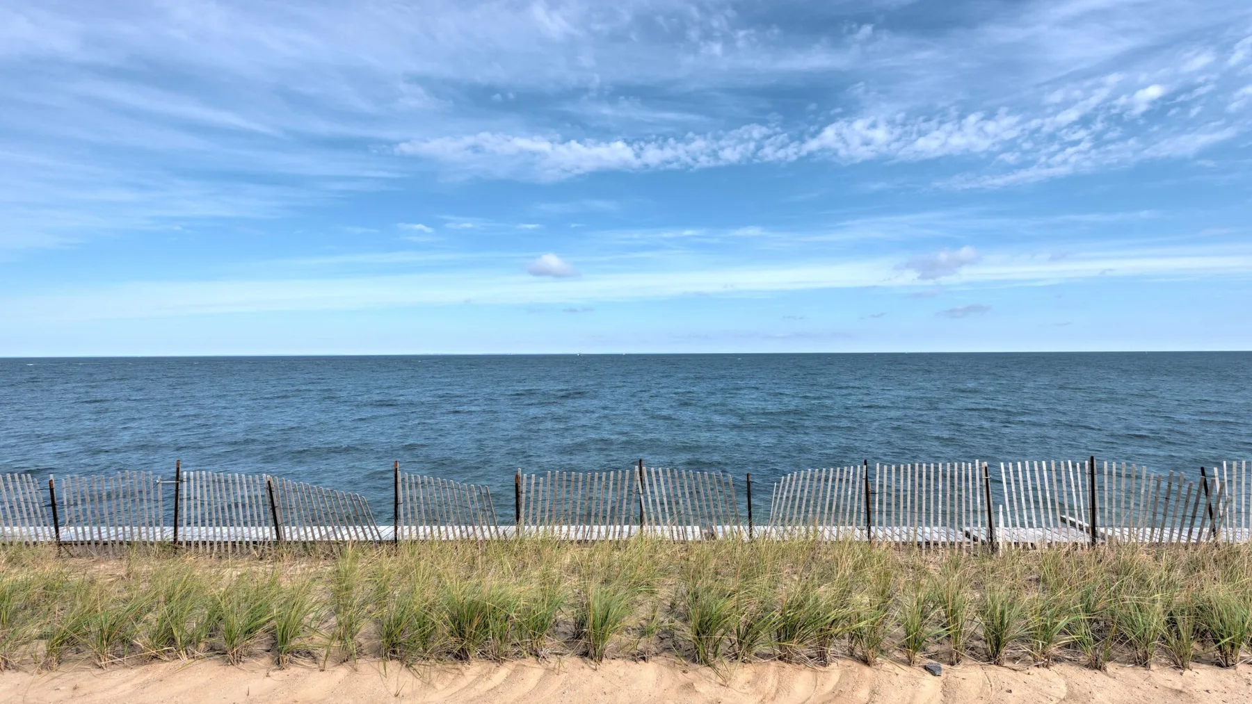 A coastal beach scene with dune grass, a fence, and the ocean beyond.