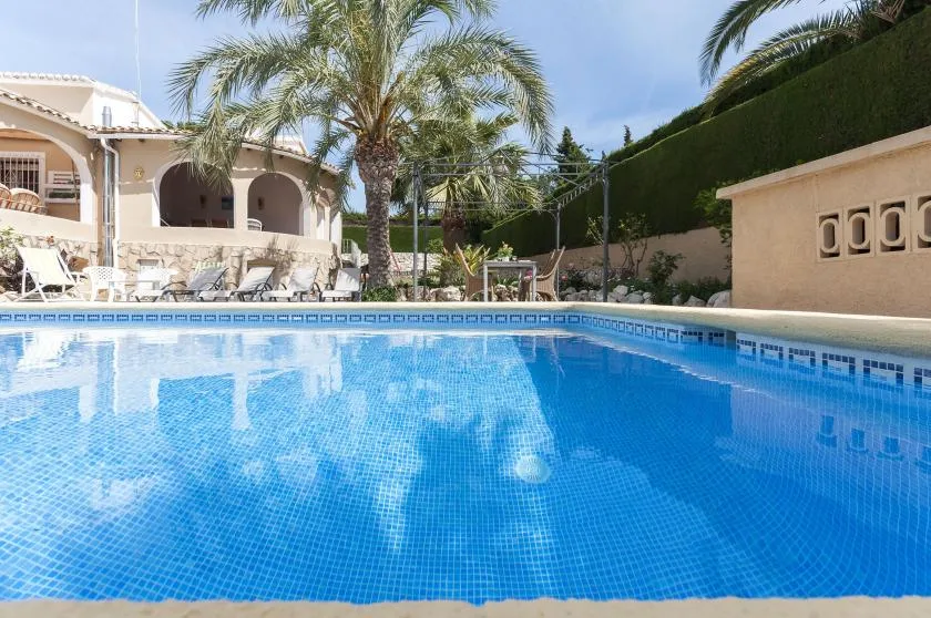 Una piscina junto a un patio y palmeras.