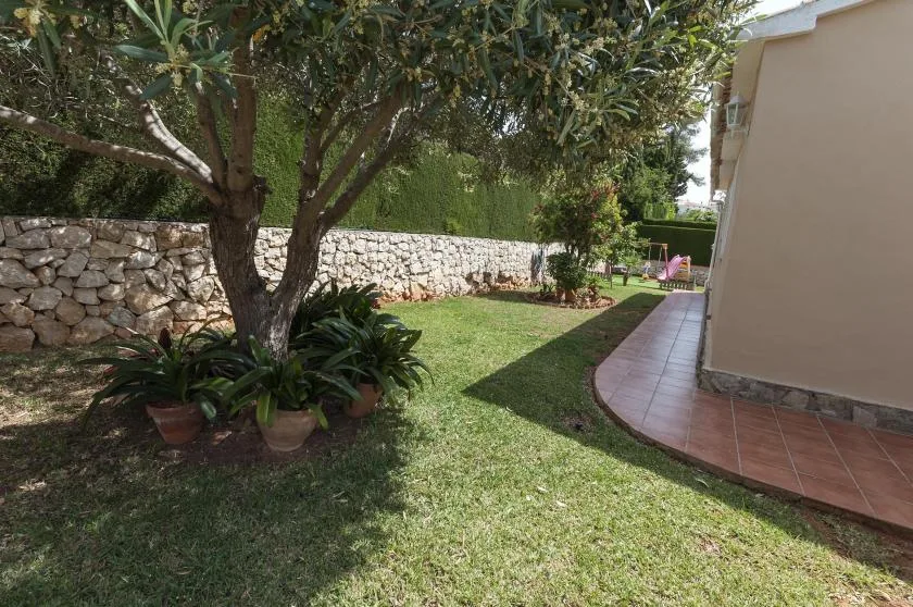 Un jardín con césped, un árbol frondoso, plantas en macetas y un muro de piedra.