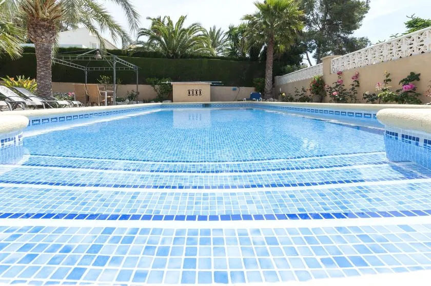 Una piscina al aire libre rodeada de palmeras y muros de jardín.