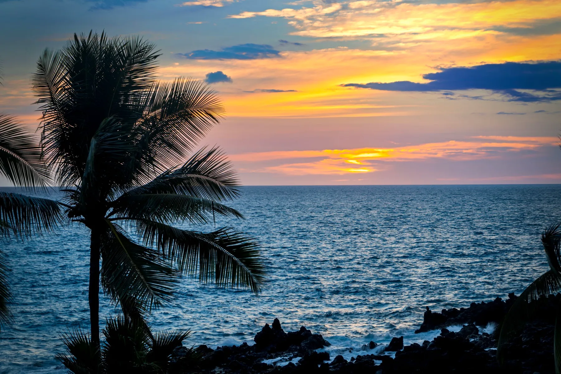 Una costa bordeada de palmeras da al océano bajo un cielo colorido al atardecer.