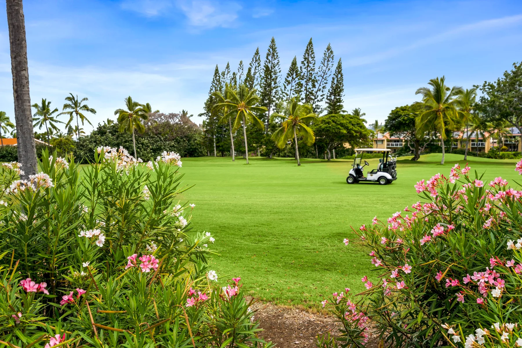 Un campo de golf ajardinado con césped verde, arbustos floridos y un carrito de golf.