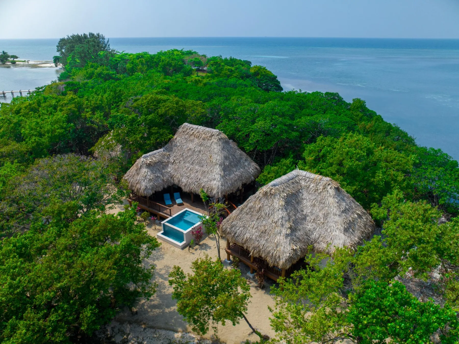 Aerial view of two thatched-roof buildings surrounded by dense greenery near the ocean.