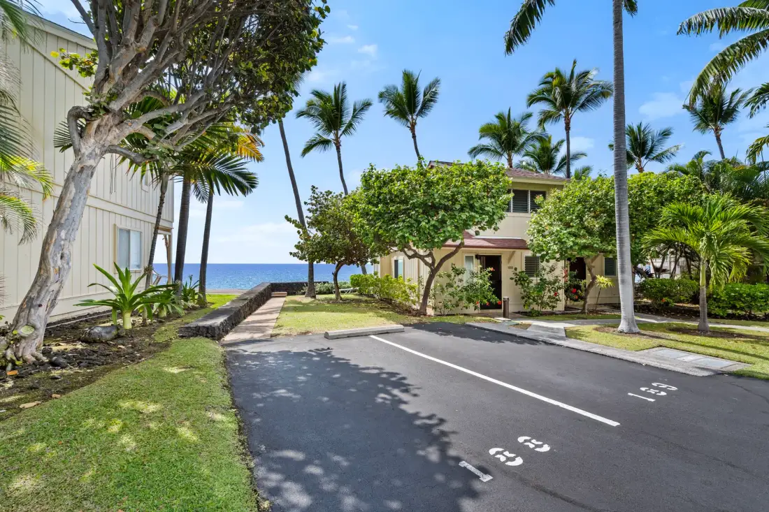 A paved road runs past landscaped buildings toward the ocean, with palm trees overhead.