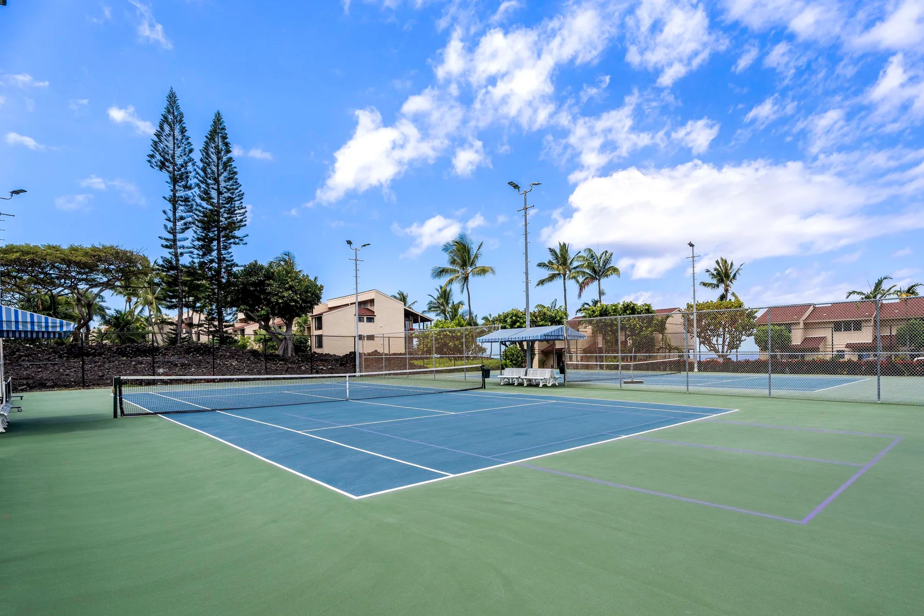 A tennis court sits beneath a bright sky, with palm trees and buildings beyond the fence.