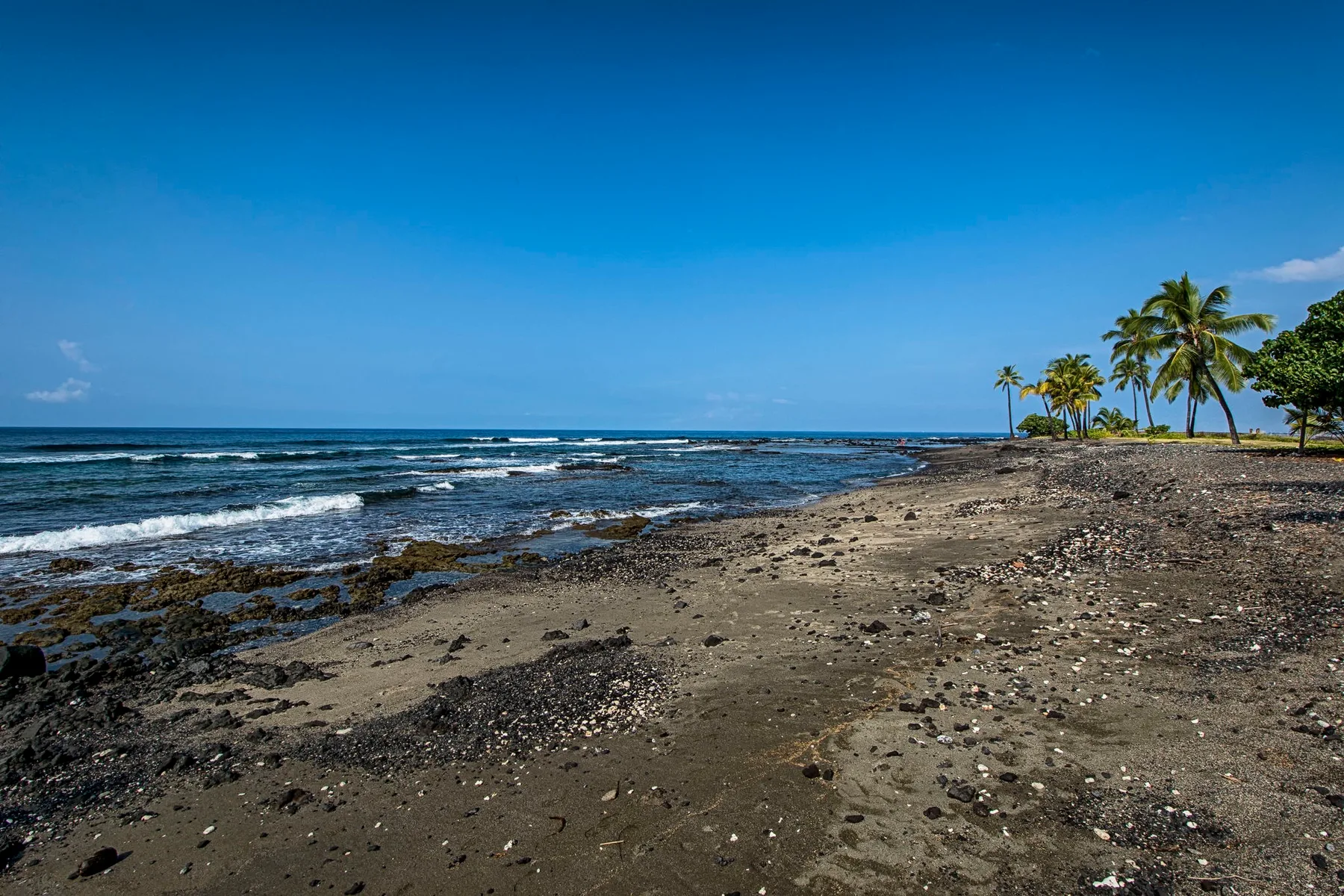 A tropical beach with dark sand, shallow waves, and palm trees along the shore.