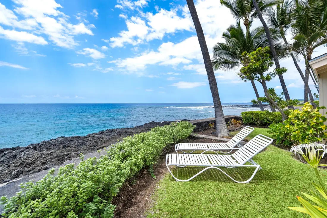 A grassy seaside garden with lounge chairs beside the rocky shore.