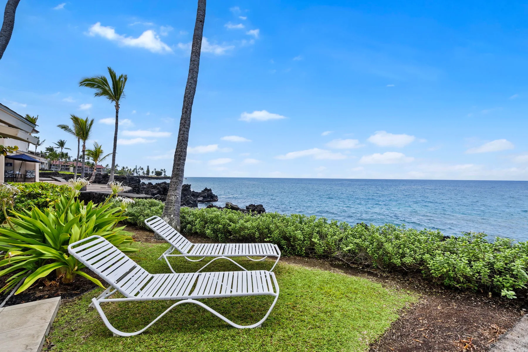 A seaside lawn with white lounge seating, tropical plants, and ocean views.