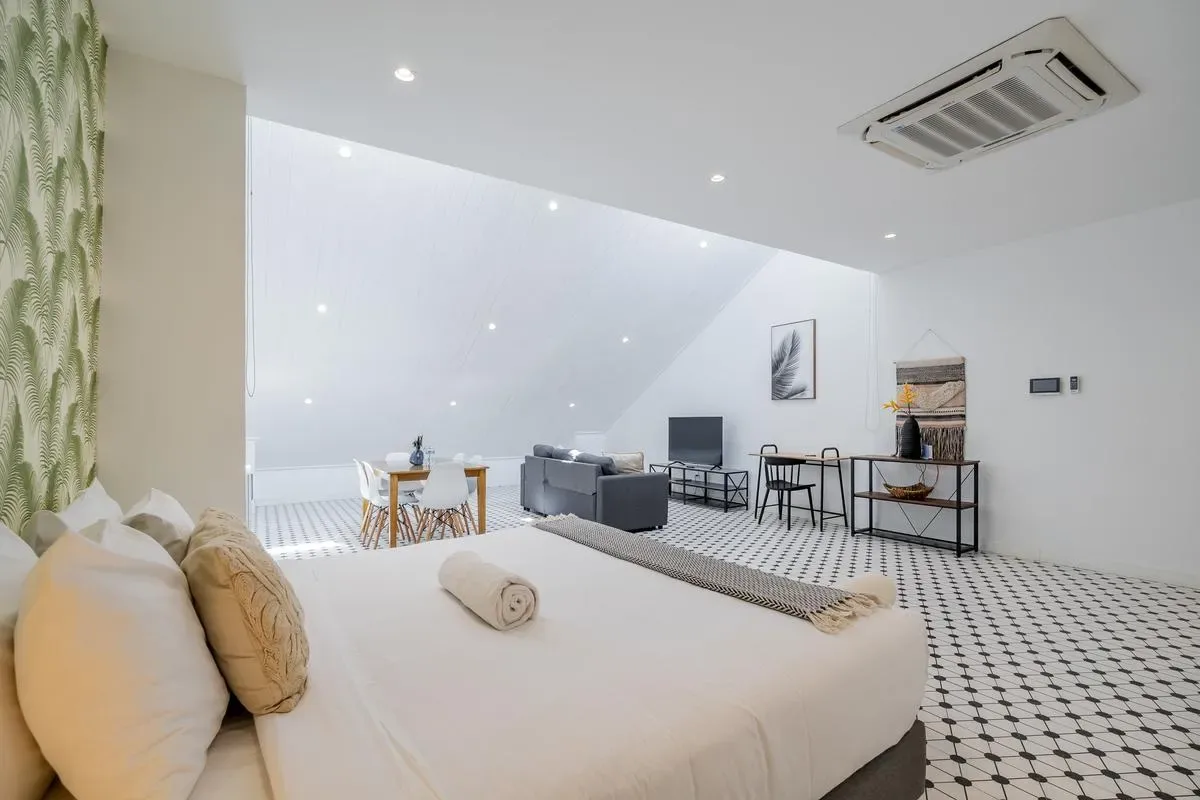Sunny Loft in Plaza Catedral