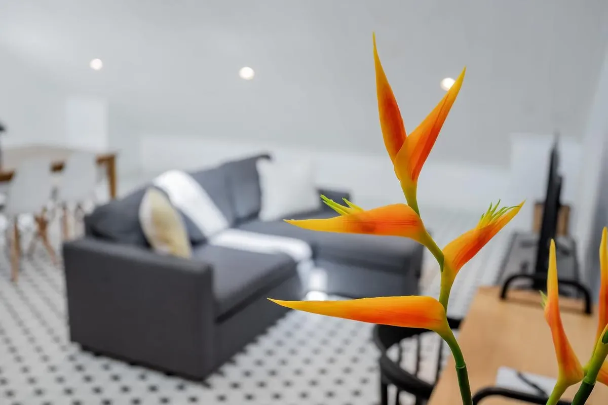 Sunny Loft in Plaza Catedral