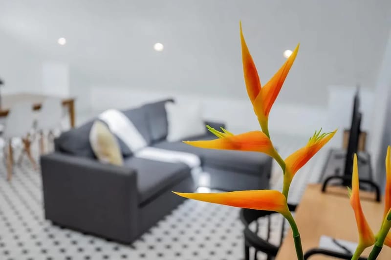 Sunny Loft in Plaza Catedral